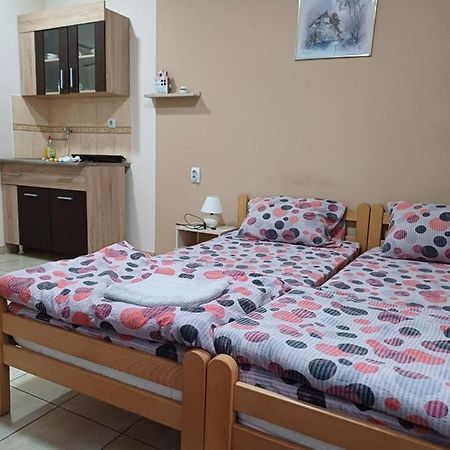 Sobe Sanja Otel Pirot Dış mekan fotoğraf