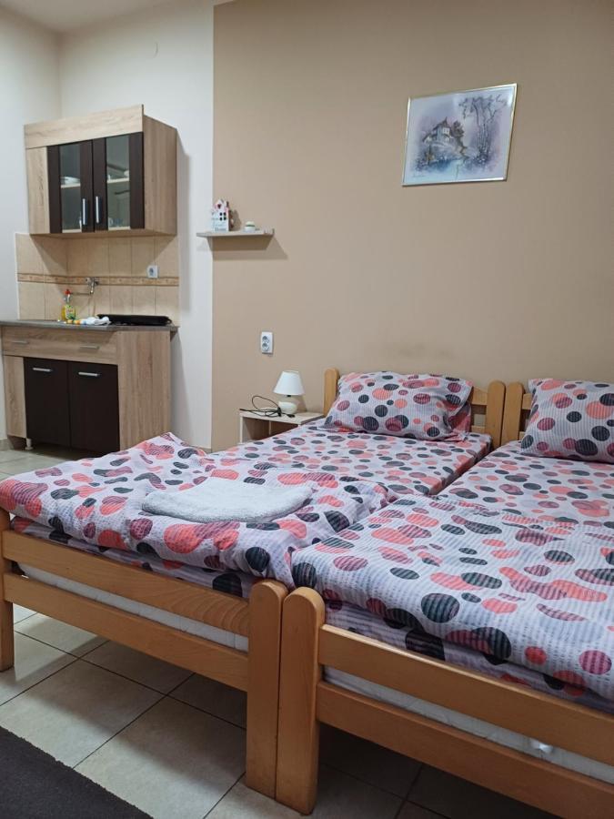 Sobe Sanja Otel Pirot Dış mekan fotoğraf
