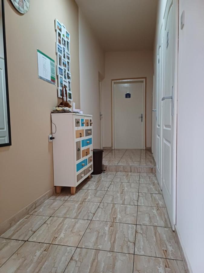 Sobe Sanja Otel Pirot Dış mekan fotoğraf