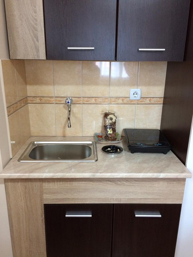 Sobe Sanja Otel Pirot Dış mekan fotoğraf