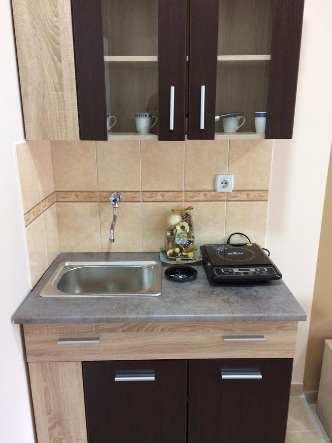 Sobe Sanja Otel Pirot Dış mekan fotoğraf